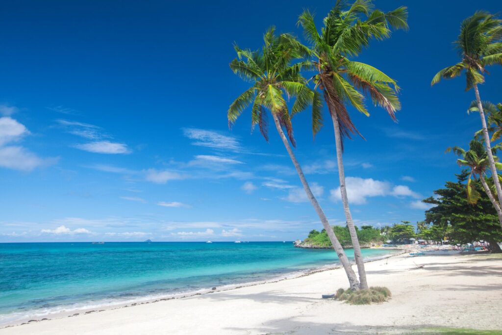 セブ島の青い海